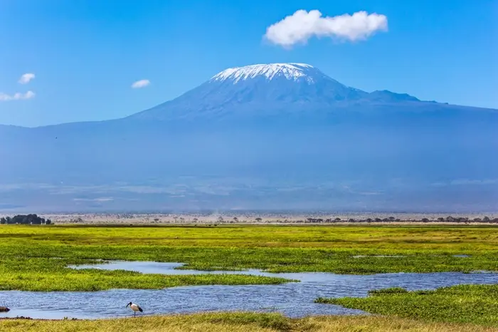 AMBOSELI