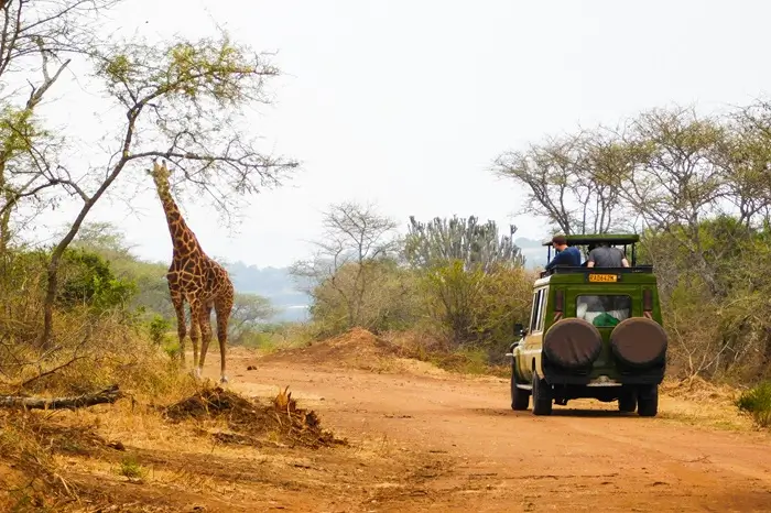 Discover Kenya