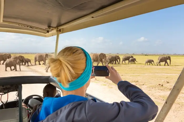 Safari and Tours Kenya