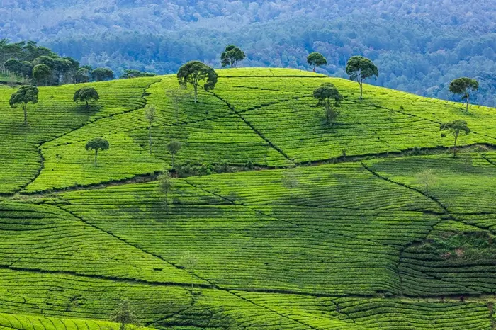 11 Days Uganda Discovering the Culture