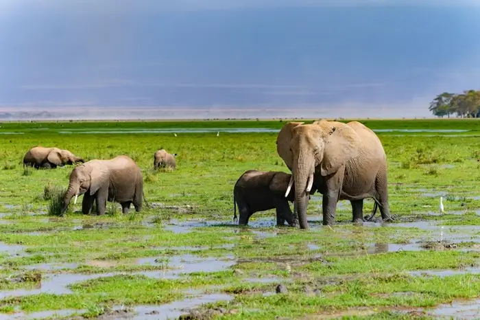 16 Days Safari All Pearls of Uganda
