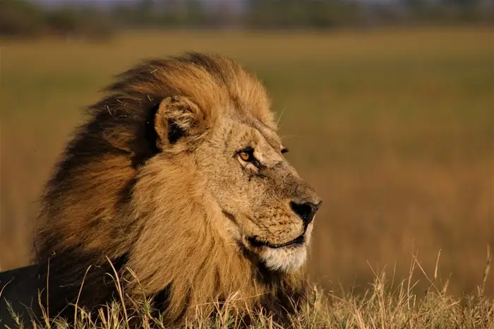 Kidepo Valley National Park