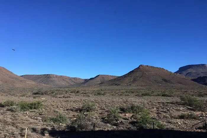 karoo, 700