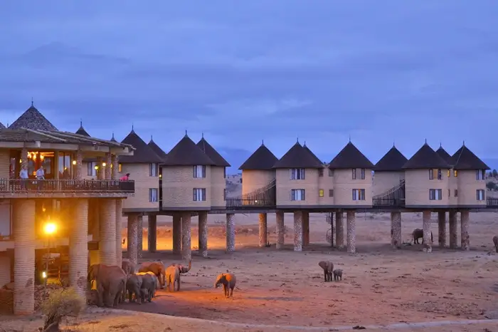 Salt Lick Safari Lodge 1