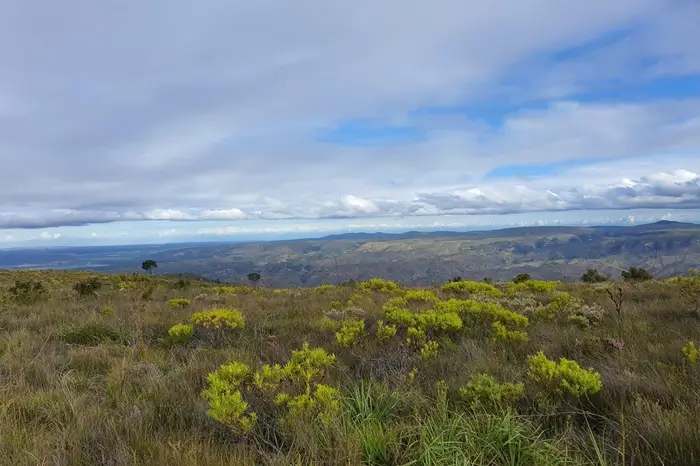 Groendal Nature Reserve