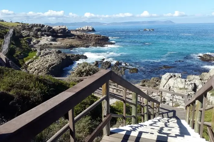 Hermanus