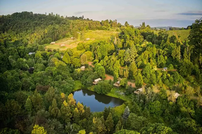 Magoebaskloof Africamps 1