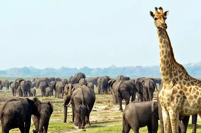 Namibia 1