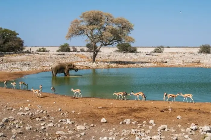 Namibia 5