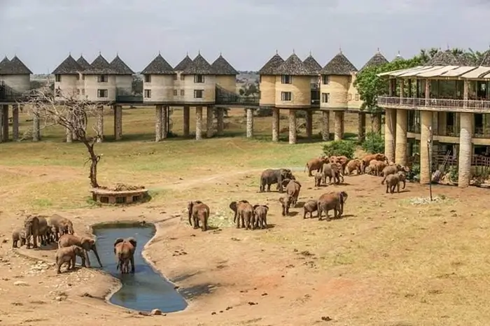 Taita Hills Wildlife Sanctuary