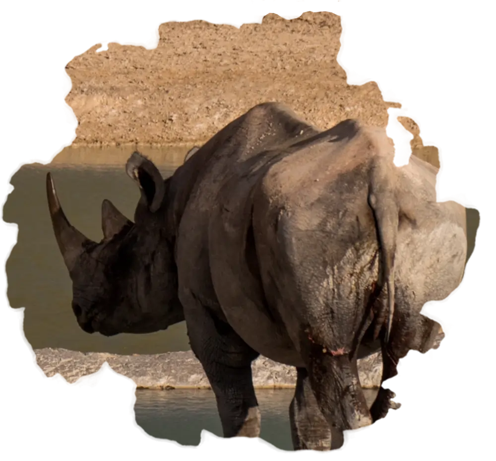 This is Namibia
