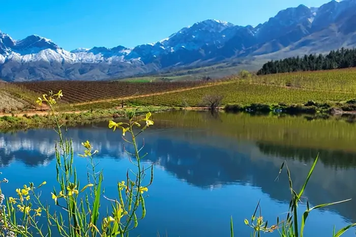 Tulbagh